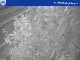 Segment preview